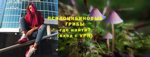 PSILOCYBIN Тобольск