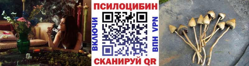 Галлюциногенные грибы GOLDEN TEACHER Красновишерск